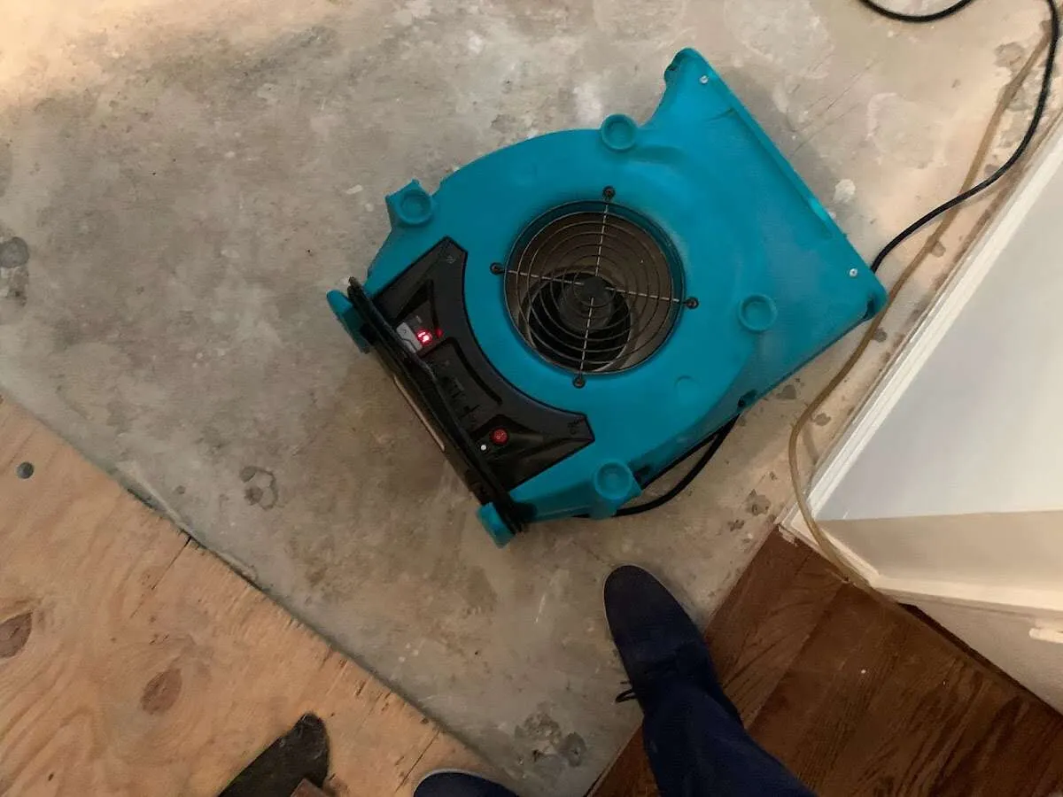 Air mover drying subfloor during Leak Detection & Repair in Berkeley Heights